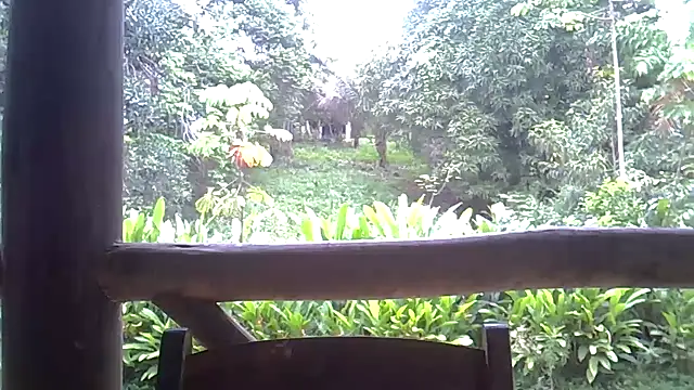 Blue Liz online show from 10, 11, 2025