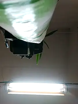 Czarnoksieznik online show from 27, 10, 2025