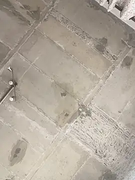 prettydollyy online show from 10, 3, 2026