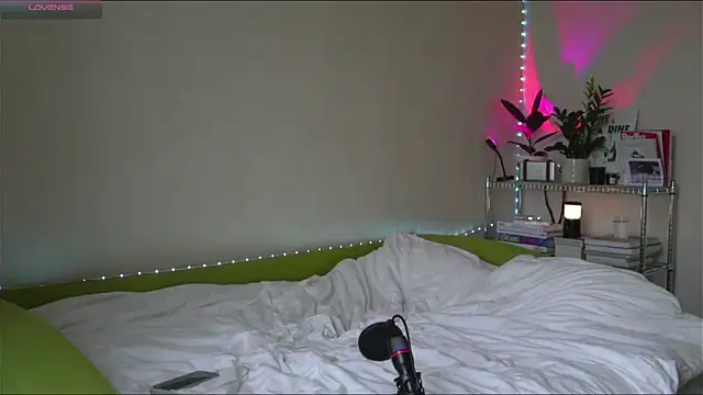 Snapshot of BoyTurtle chatting on 9, 11, 2025 BoyTurtle online show from 9, 11, 2025