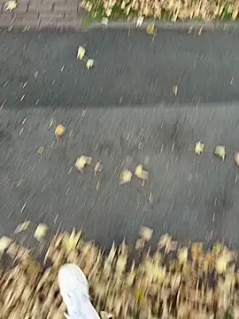 Bigdick 20cmlang6cmbreit online show from 23, 9, 2025