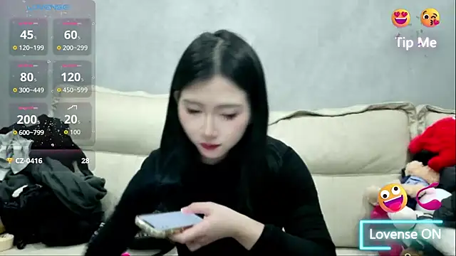 xiaoLI-2025 online show from 21, 2, 2026