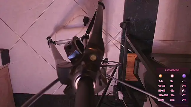 Terraelowen online show from 4, 11, 2025