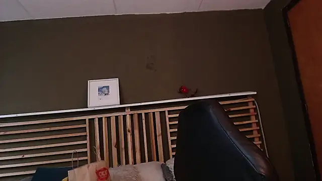 Snapshot of PaulEvens chatting on 15, 11, 2025 PaulEvens online show from 15, 11, 2025