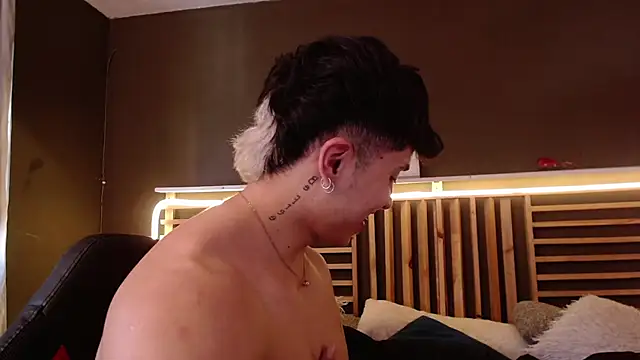 Snapshot of PaulEvens chatting on 8, 11, 2025 PaulEvens online show from 8, 11, 2025