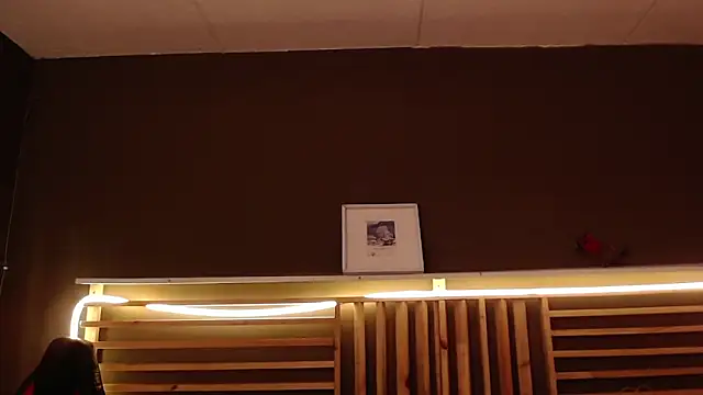 Snapshot of PaulEvens chatting on 12, 11, 2025 PaulEvens online show from 12, 11, 2025