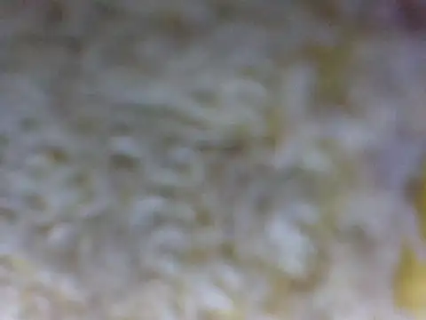 hell1212 25 online show from 21, 3, 2026