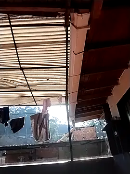 solpeich online show from 20, 3, 2026