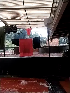 solpeich online show from 31, 10, 2025