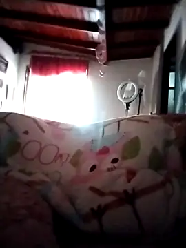 solpeich online show from 6, 11, 2025