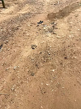 Snapshot of Jaydemasked chatting on 26, 11, 2025 Jaydemasked online show from 26, 11, 2025