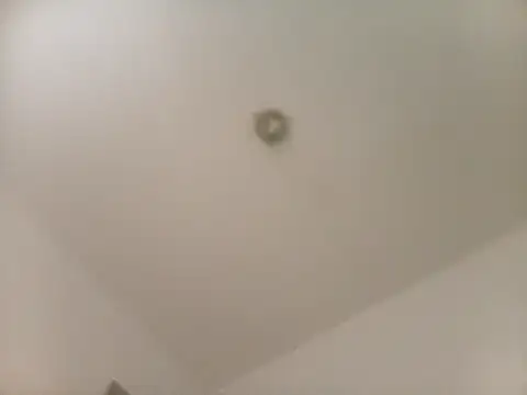 flavinhasensual online show from 18, 4, 2026