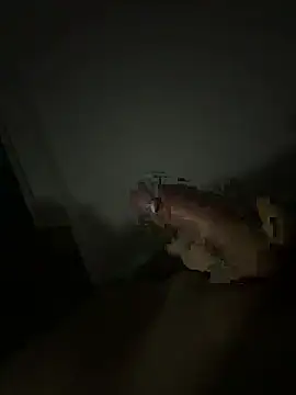 Deadpool010201 online show from 8, 3, 2026