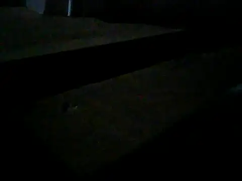 Master2000K online show from 28, 2, 2026