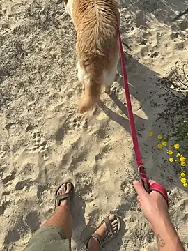 haramnarab online show from 28, 10, 2025