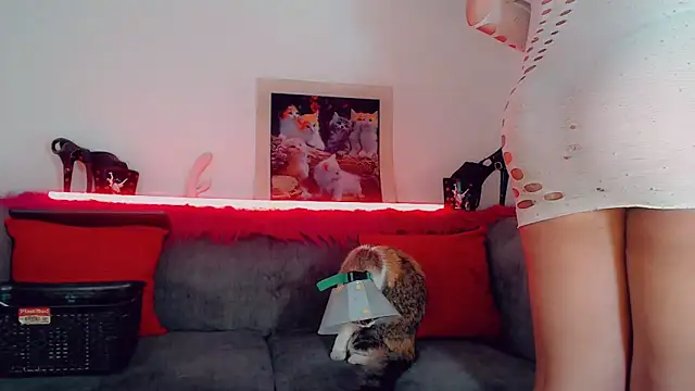 vicky gill online show from 8, 10, 2025