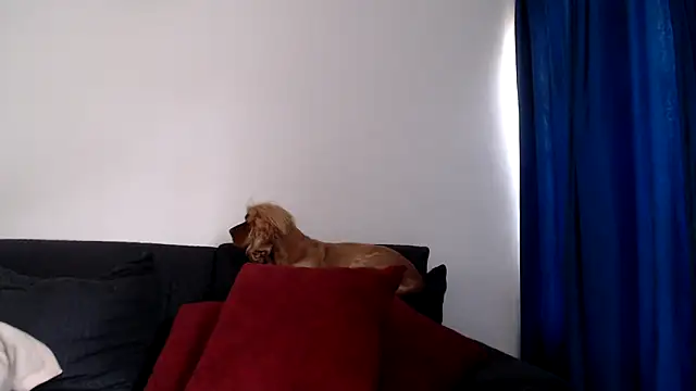 evilheart 69 online show from 18, 12, 2025