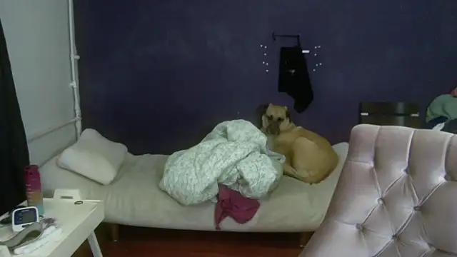 turkishTransEfsun online show from 3, 11, 2025