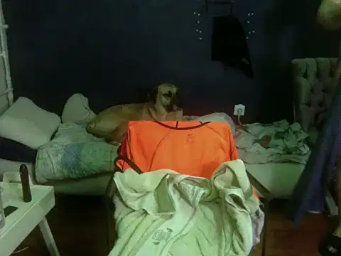 turkishTransEfsun online show from 28, 2, 2026