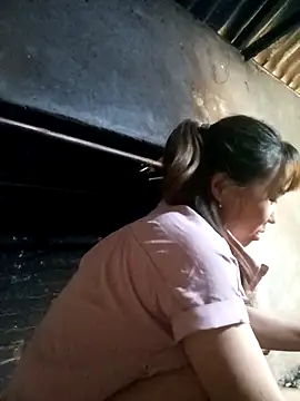 Mpchaola online show from 21, 4, 2026