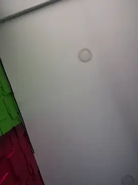 Snapshot of Linda_LS chatting on 28, 11, 2025 Linda LS online show from 28, 11, 2025