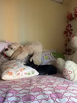 Snapshot of MiaRousexxx_ chatting on 26, 11, 2025 MiaRousexxx online show from 26, 11, 2025