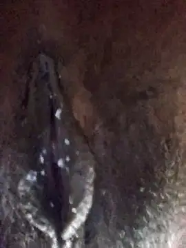 xnmx26 online show from 29, 3, 2026