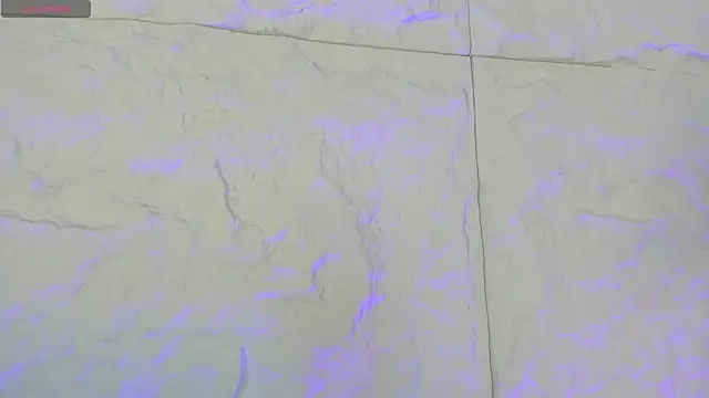 CarolineLee  online show from 11, 2, 2026