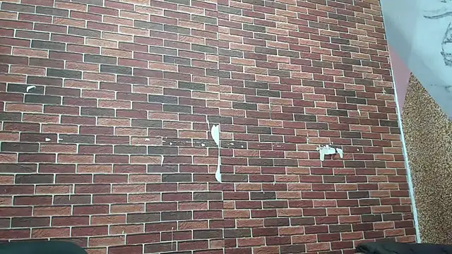 Sexvergon 26 online show from 22, 3, 2026