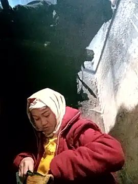 MaiHoa69 online show from 12, 1, 2026