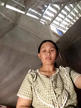 MaiHoa69 online show from 8, 4, 2026