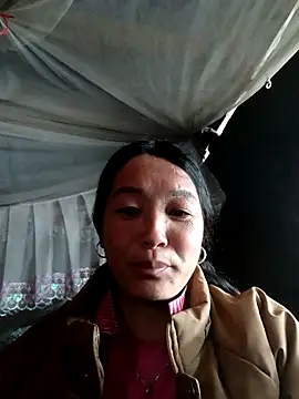 Bliss rose online show from 23, 3, 2026