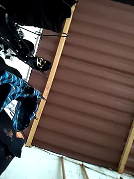 damian bull online show from 24, 11, 2025