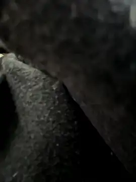 Only April online show from 22, 4, 2026