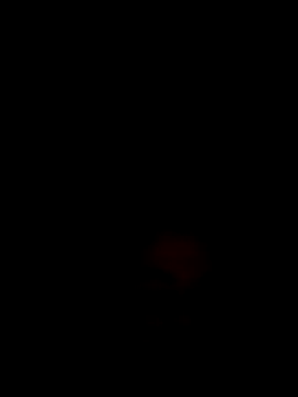Fran-solo online show from 17, 5, 2026