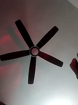 MoonlikePolicy727 online show from 22, 2, 2026