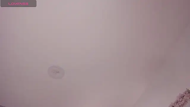 Laureen se online show from 3, 2, 2026