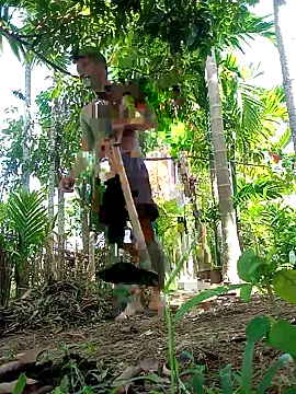 Johlrd online show from 24, 9, 2025