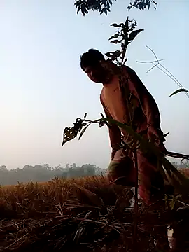 Johlrd online show from 23, 11, 2025