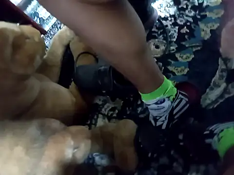 Gemenissss online show from 11, 9, 2025