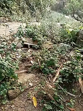 MuiNay online show from 17, 4, 2026