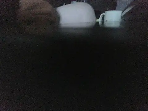 Snapshot of Thrust_71 chatting on 7, 1, 2026 Thrust 71 online show from 7, 1, 2026