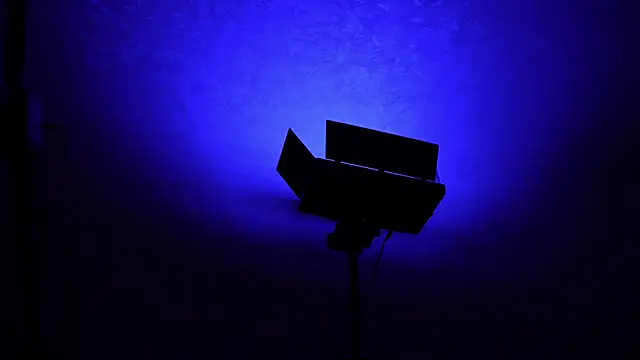 Stella Vanila online show from 1, 11, 2025