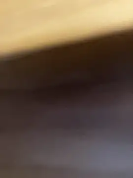 StableQuakers online show from 30, 3, 2026