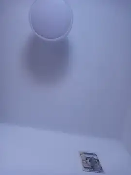 gigolobcn online show from 12, 3, 2026