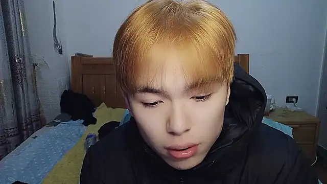 w5206t online show from 5, 12, 2025