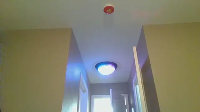 LeeCox online show from 10, 1, 2026