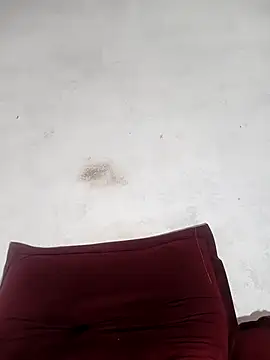 ninfourso online show from 13, 11, 2025