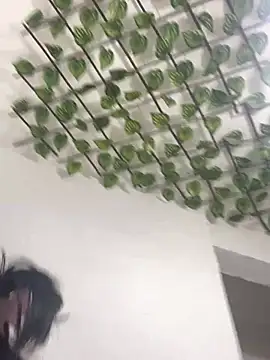 Lili milk20 online show from 17, 4, 2026