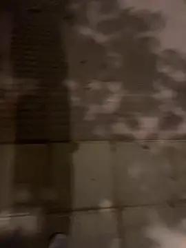 Wild2XXX online show from 21, 10, 2025